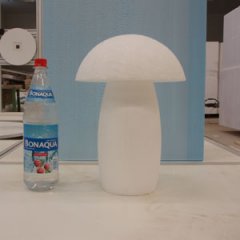 sieni_1